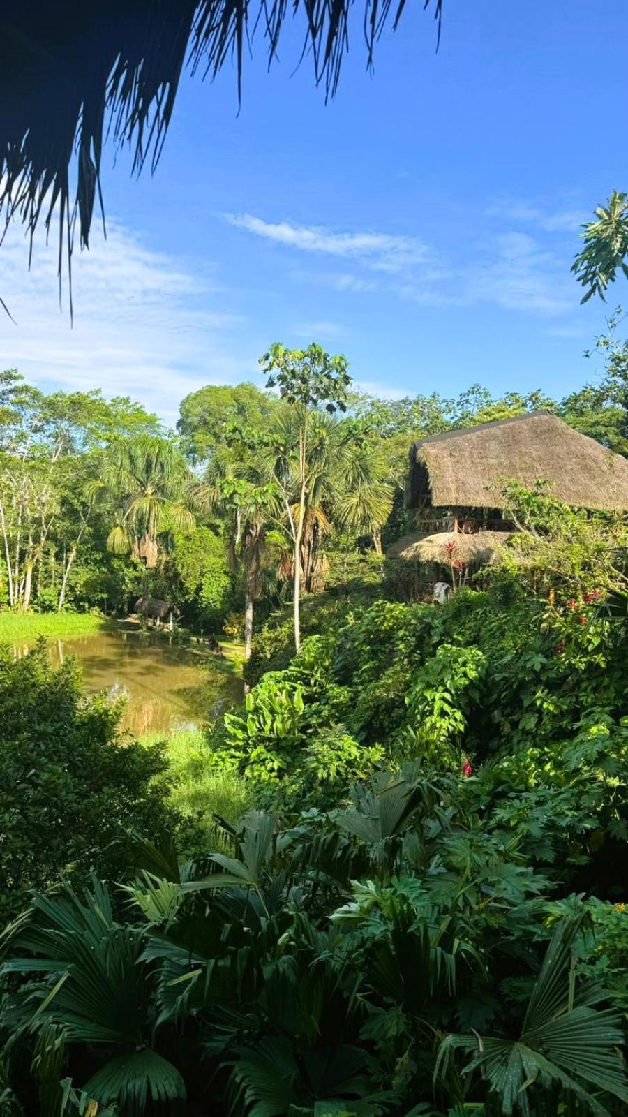 Suchipakari Amazon Eco -Lodge & Jungle Reserve Misahualli Экстерьер фото