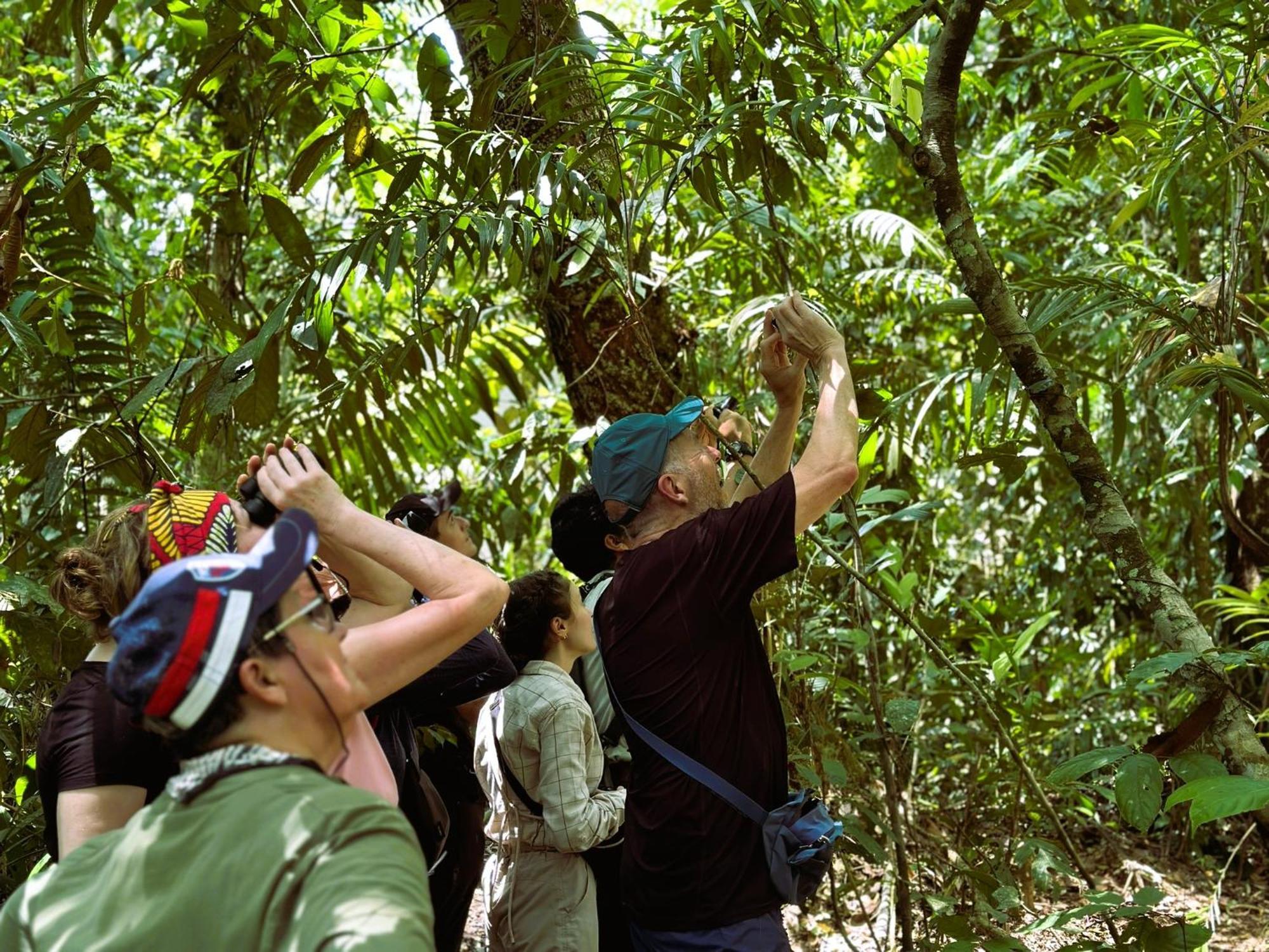 Suchipakari Amazon Eco -Lodge & Jungle Reserve Misahualli Экстерьер фото